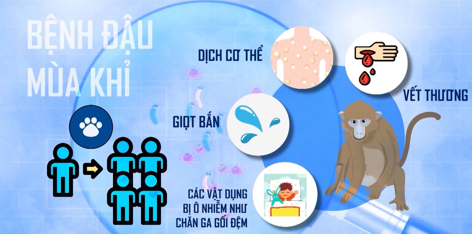 UBND tỉnh chỉ đạo triển khai các biện pháp phòng ngừa lây nhiễm bệnh Đậu mùa khỉ ở động vật