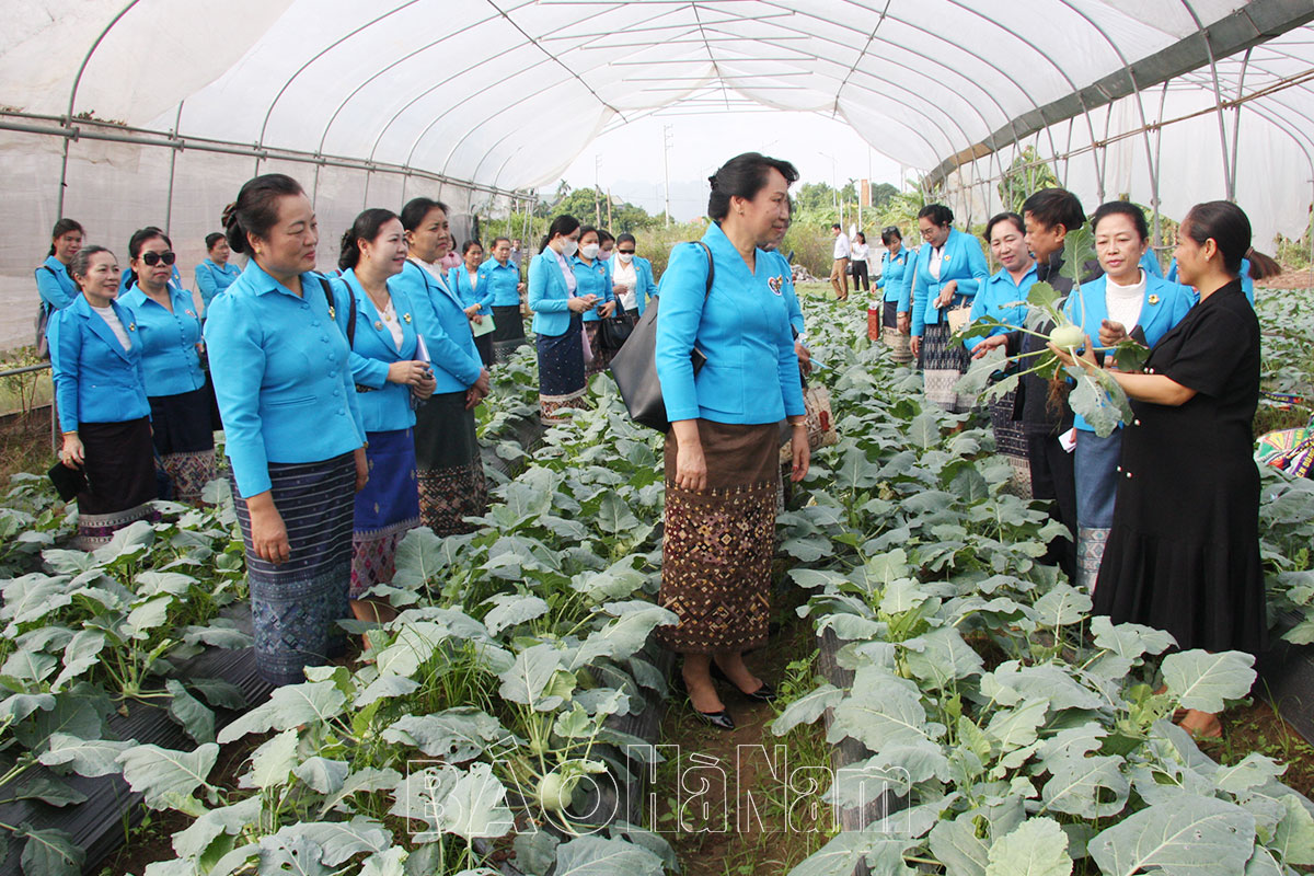 Đoàn học viên cán bộ Hội LHPN nước CHDCND Lào thăm và làm việc tại Hà Nam