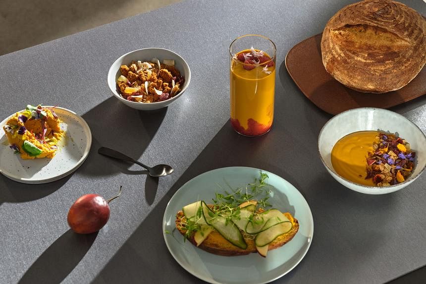 Đạm bột ​Solein - thực phẩm mới siêu giàu đạm