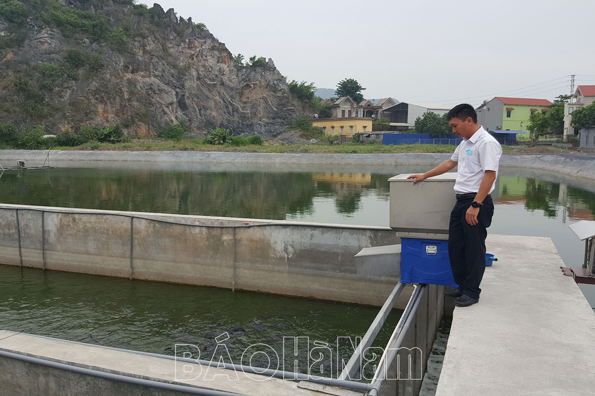 Nâng cao tiêu chí thu nhập cho người dân ở các xã nông thôn mới kiểu mẫu