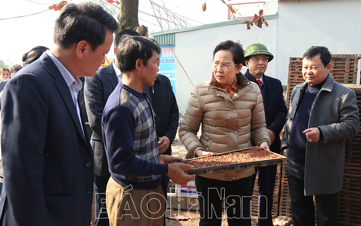 Đồng chí Bí thư Tỉnh ủy Lê Thị Thủy kiểm tra sản xuất tại huyện Lý Nhân