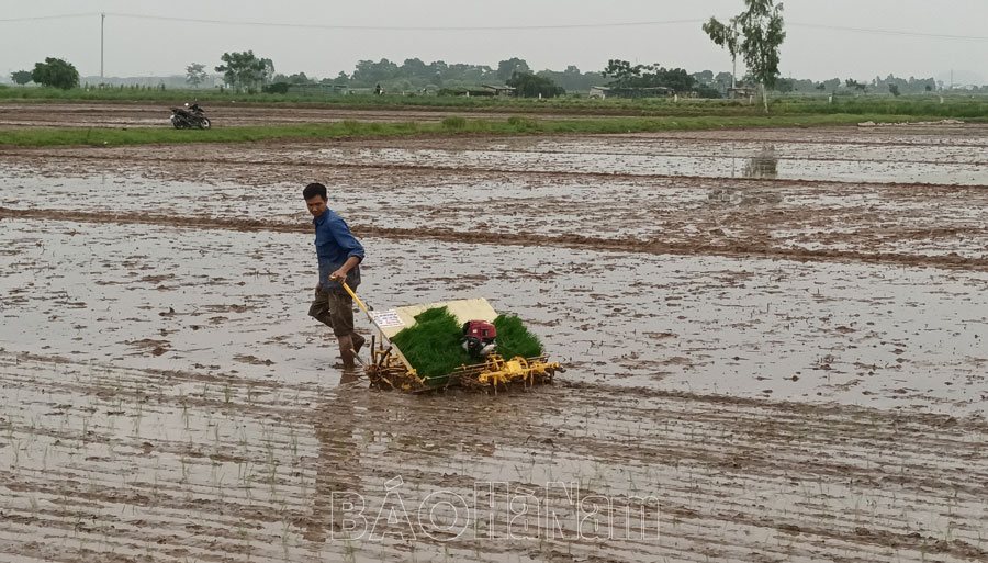 Đồng quê vào vụ mới