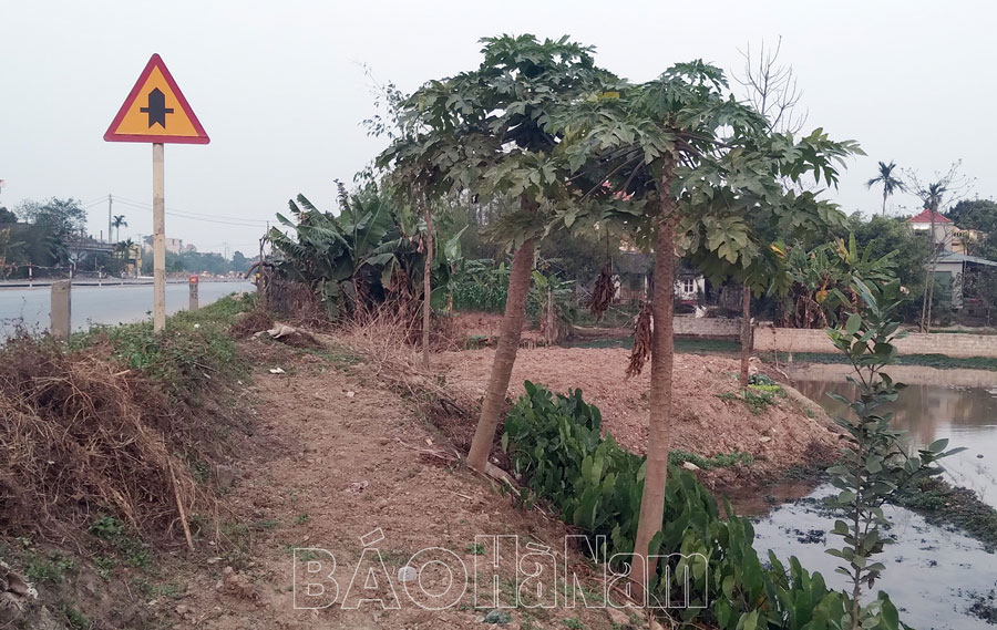 Khó quản lý, sử dụng diện tích đất nhỏ lẻ sau thu hồi giải phóng mặt bằng