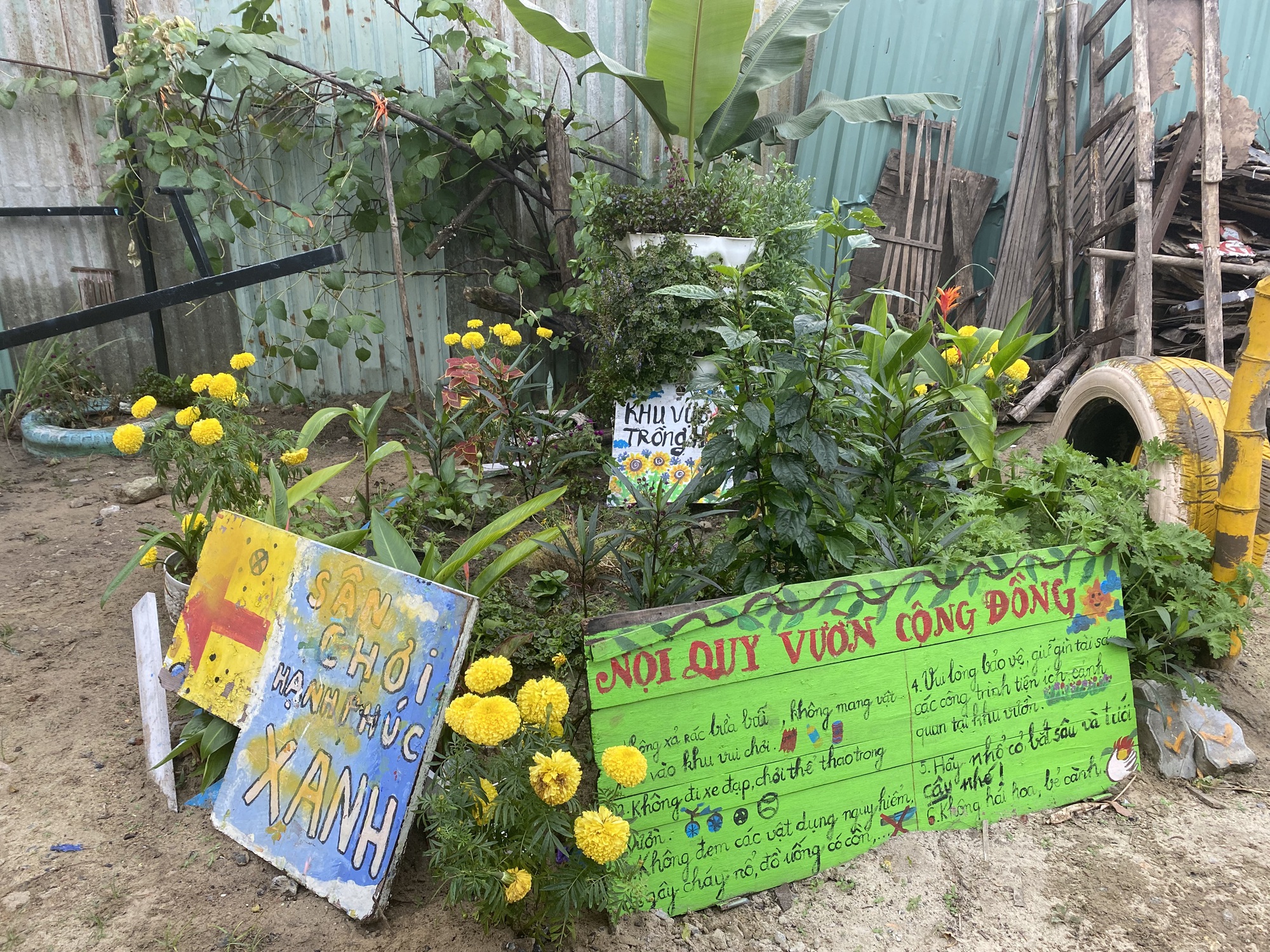 Một sáng kiến thiết thực vì môi trường