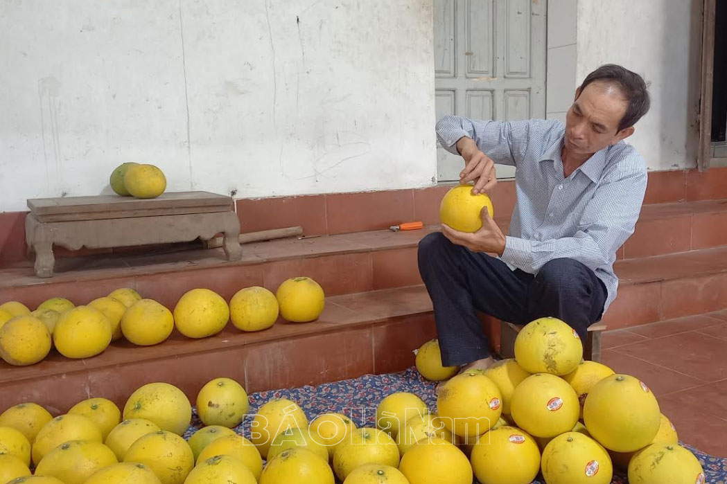 Trưng bày sản phẩm OCOP chào mừng Ngày Thương hiệu Việt Nam