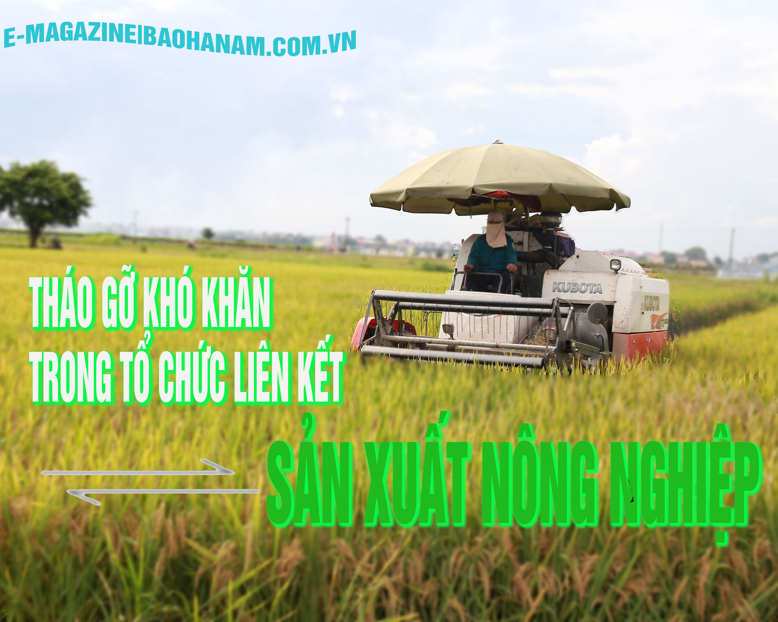 Tháo gỡ khó khăn trong tổ chức liên kết sản xuất nông nghiệp