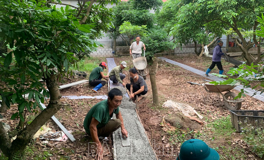 Hội Nông dân Lý Nhân tích cực tham gia xây dựng nông thôn mới