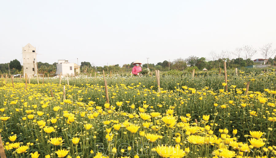 Phù Vân - Một thời đạn bom, một thời hòa bình