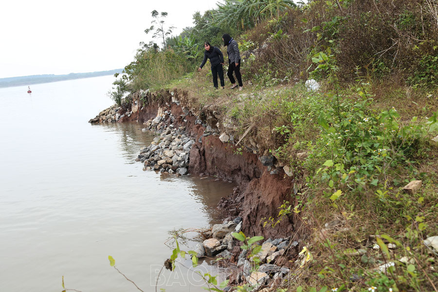 Lý Nhân bảo đảm an toàn hệ thống đê điều trong mùa mưa, bão