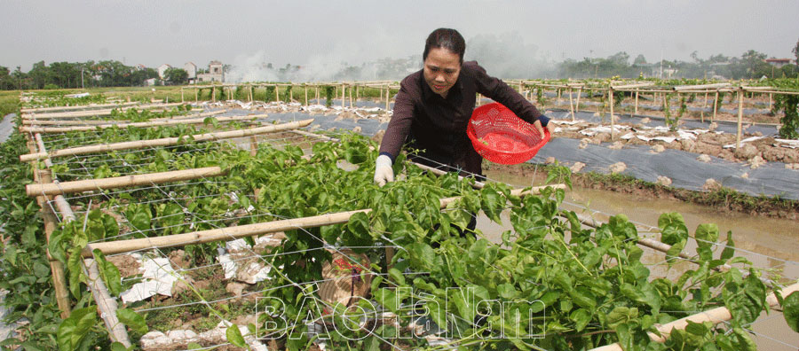Nhiều việc làm giúp nạn nhân chất độc dacam/dioxin vượt khó