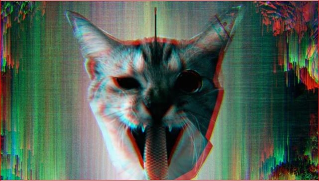 CIA và dự án “Mèo nghe lén”