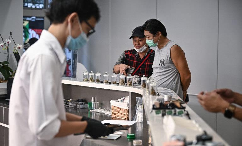 Nhiều nước cấm công dân dùng cần sa khi du lịch Thái Lan