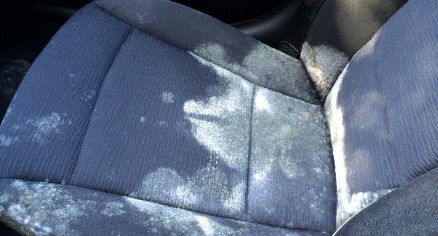 5 cách thức khử mùi ẩm ôtô trong mùa mưa