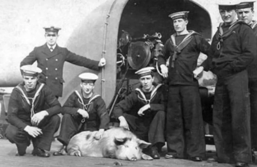 Những “chiến binh” động vật tiêu biểu trong thế chiến