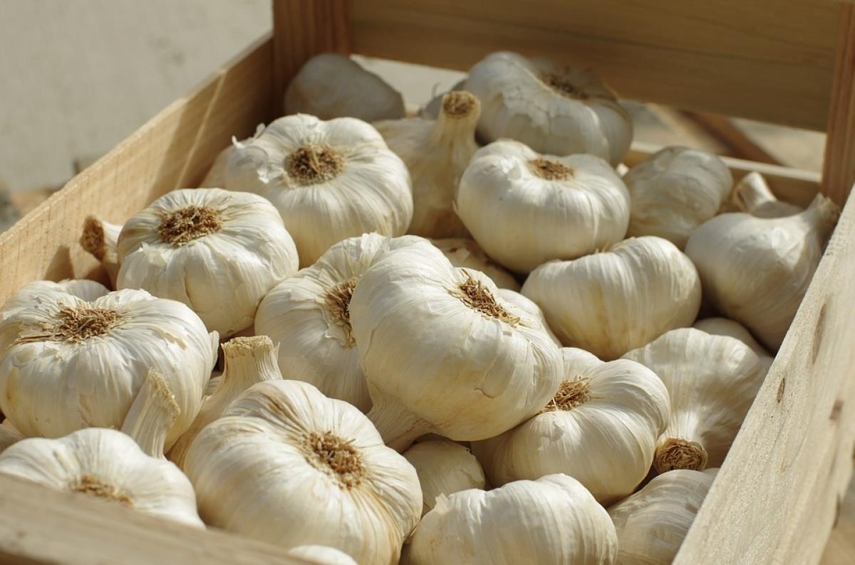 Lợi ích sức khỏe của một số loại rau củ màu trắng