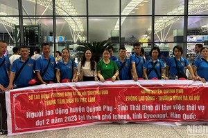 Hàn Quốc gia hạn thời gian cư trú với lao động thời vụ visa E8