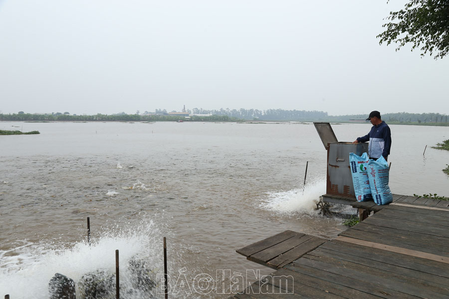 Lý Nhân nâng cao giá trị sản xuất trên diện tích nuôi thủy sản