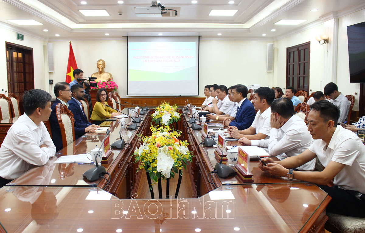 Lãnh đạo UBND tỉnh tiếp và làm việc với đoàn doanh nghiệp Singapore