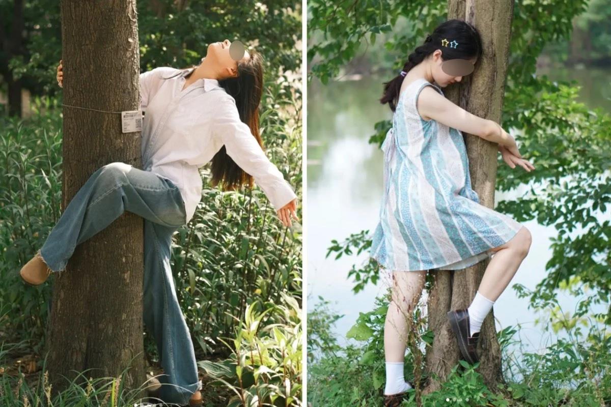 Ôm cây - liệu pháp chữa lành kỳ lạ của giới trẻ Trung Quốc