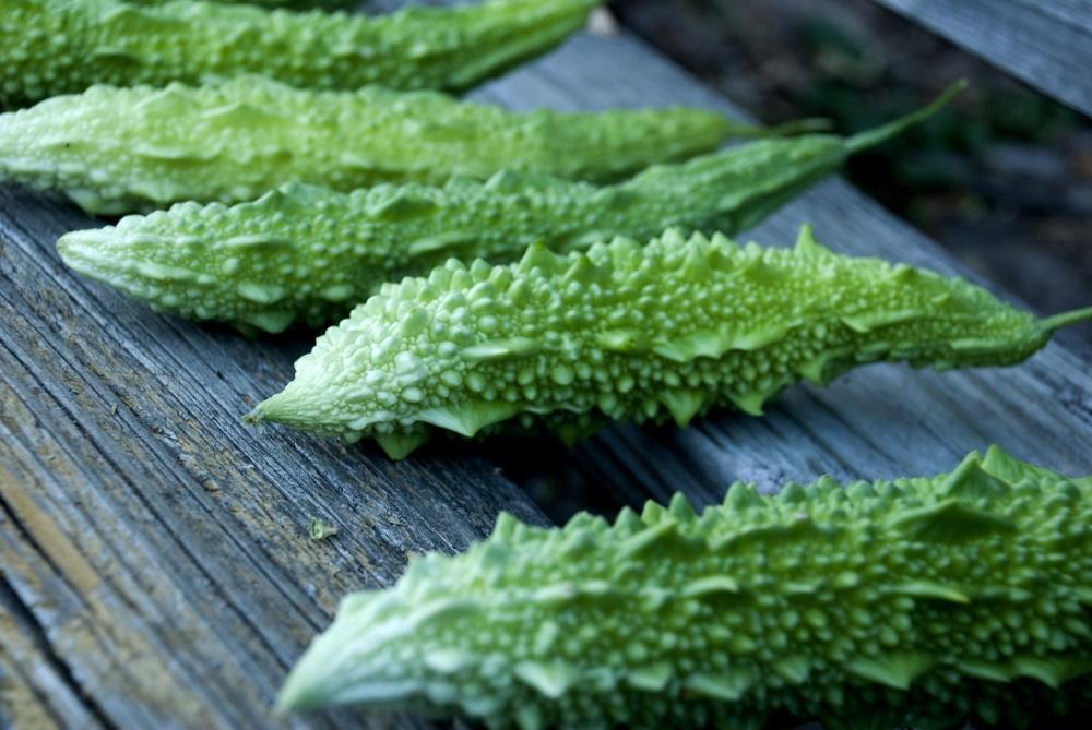 Mướp đắng giúp kiểm soát lượng đường trong máu hiệu quả