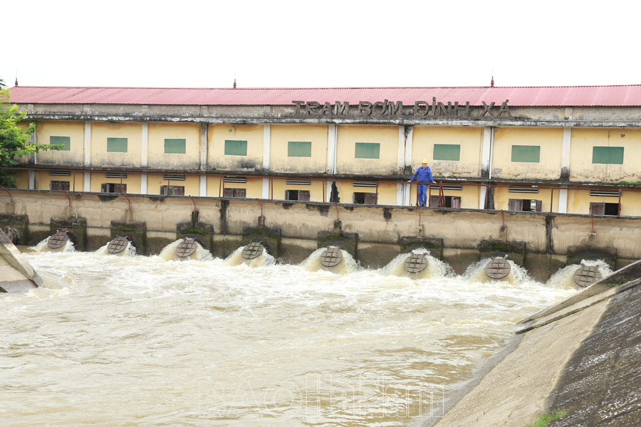 Bảo đảm tiêu úng cho cây trồng vụ đông