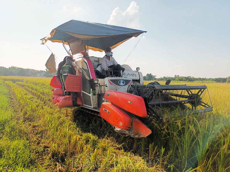 Những cán bộ, đảng viên đi đầu trong sản xuất nông nghiệp an toàn ở Bình Lục