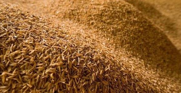 Biến vỏ trấu thành vật liệu chế tạo pin