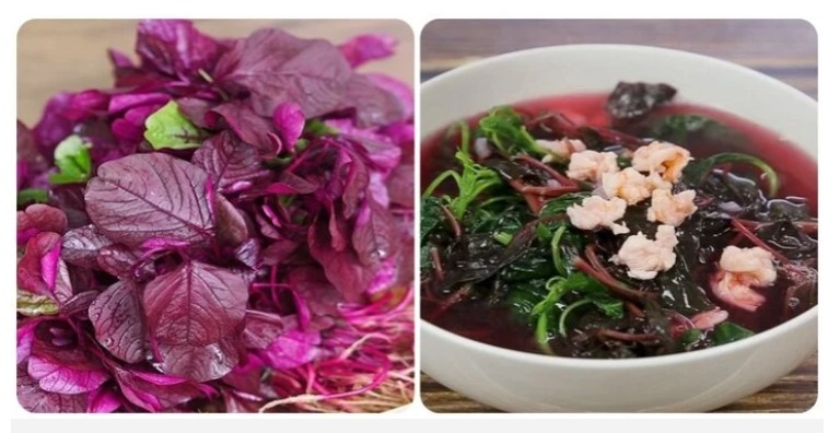 Loại rau nhiều sắt vượt xa thịt bò, được ưu ái gọi là ''rau trường thọ''