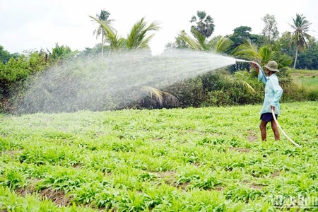 Nghị quyết của Bộ Chính trị về đổi mới, nâng cao chất lượng hoạt động của Hội Nông dân Việt Nam trong giai đoạn mới