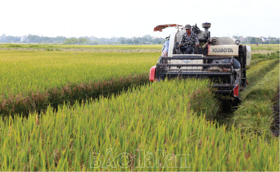 Phát huy thế mạnh của các HTXDVNN trong phát triển kinh tế ở Bình Lục