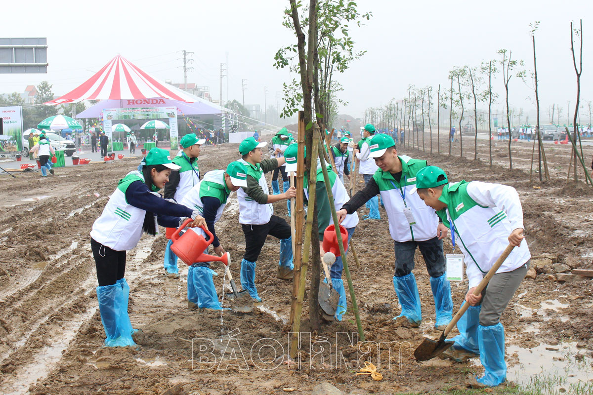 Hà Nam phấn đấu trồng 1,1 triệu cây xanh năm 2024