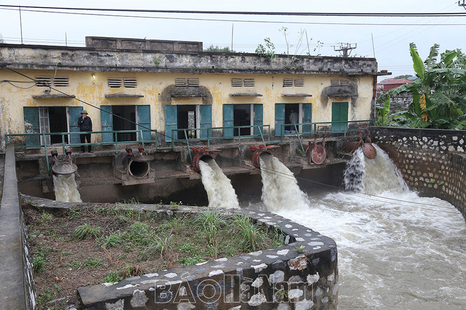 Tổ chức lấy nước Đợt 01 phục vụ gieo cấy vụ Đông Xuân 2023-2024