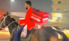 Cưỡi ngựa đi ship hàng