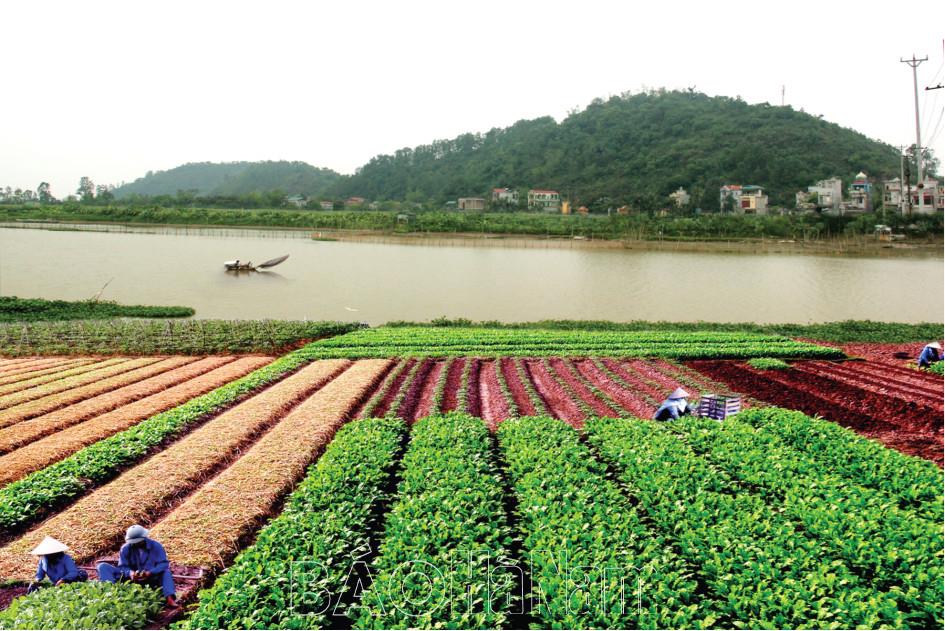 555 năm danh xưng Duy Tân tiền thân thị xã Duy Tiên (1469 - 2024)