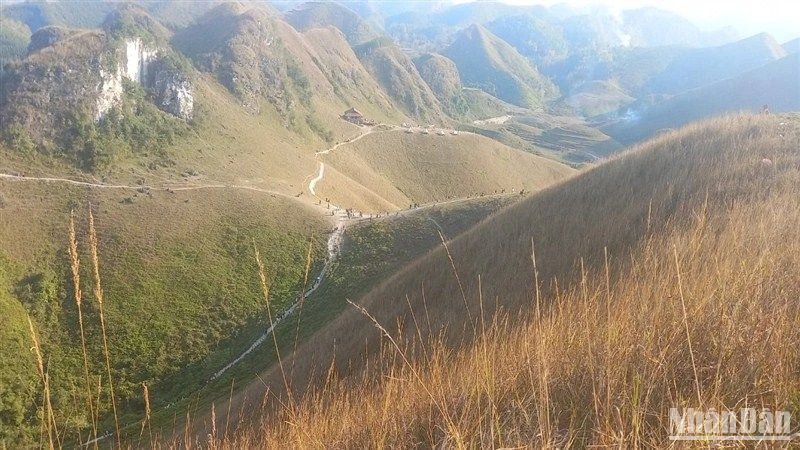 Cao Bằng: Đồi cỏ cháy Ba Quáng “hút” du khách dịp Tết Nguyên đán