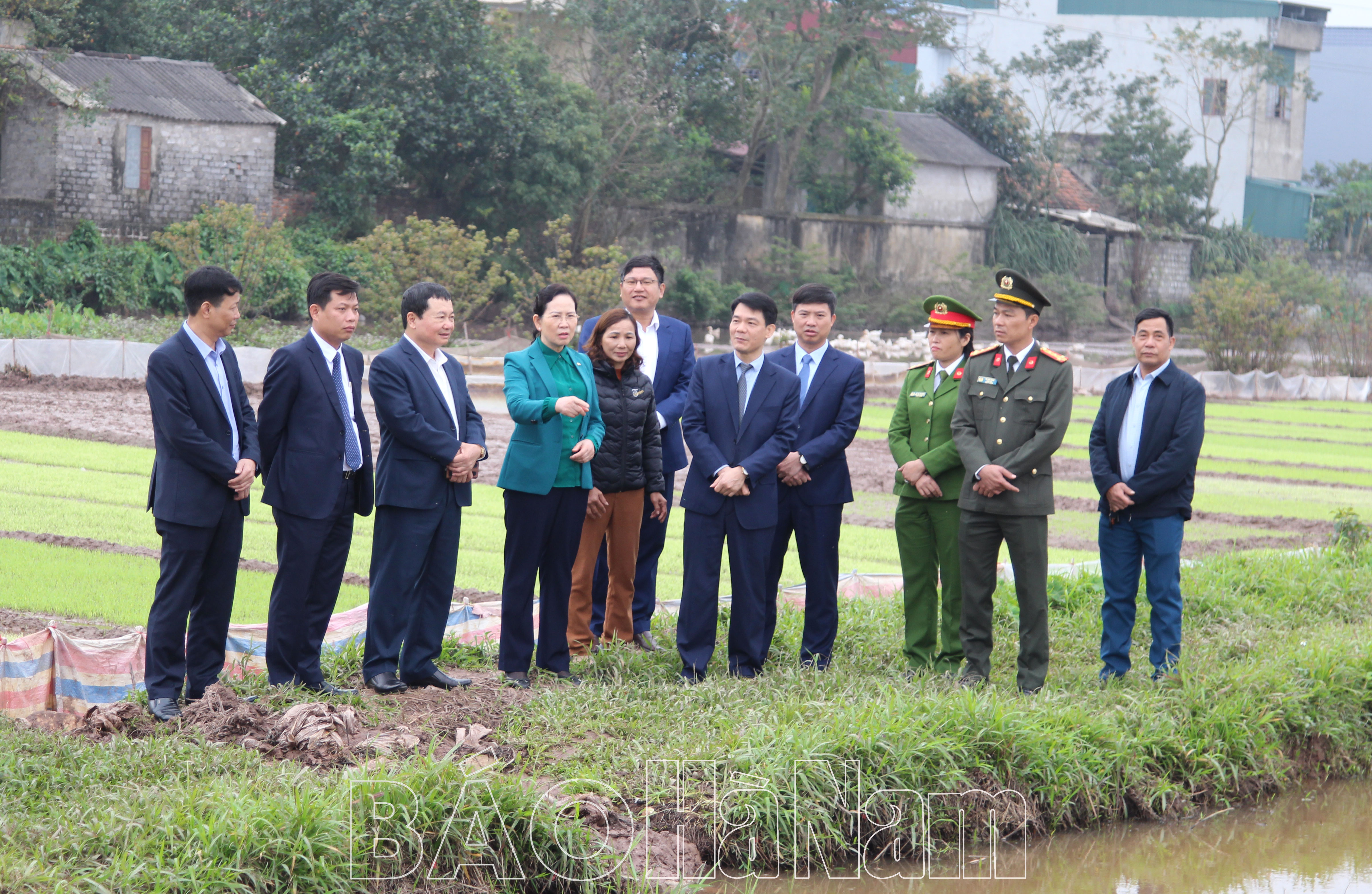 Đồng chí Bí thư Tỉnh ủy Lê Thị Thủy tham gia Tết trồng cây và kiểm tra sản xuất đầu năm tại thành phố Phủ Lý
