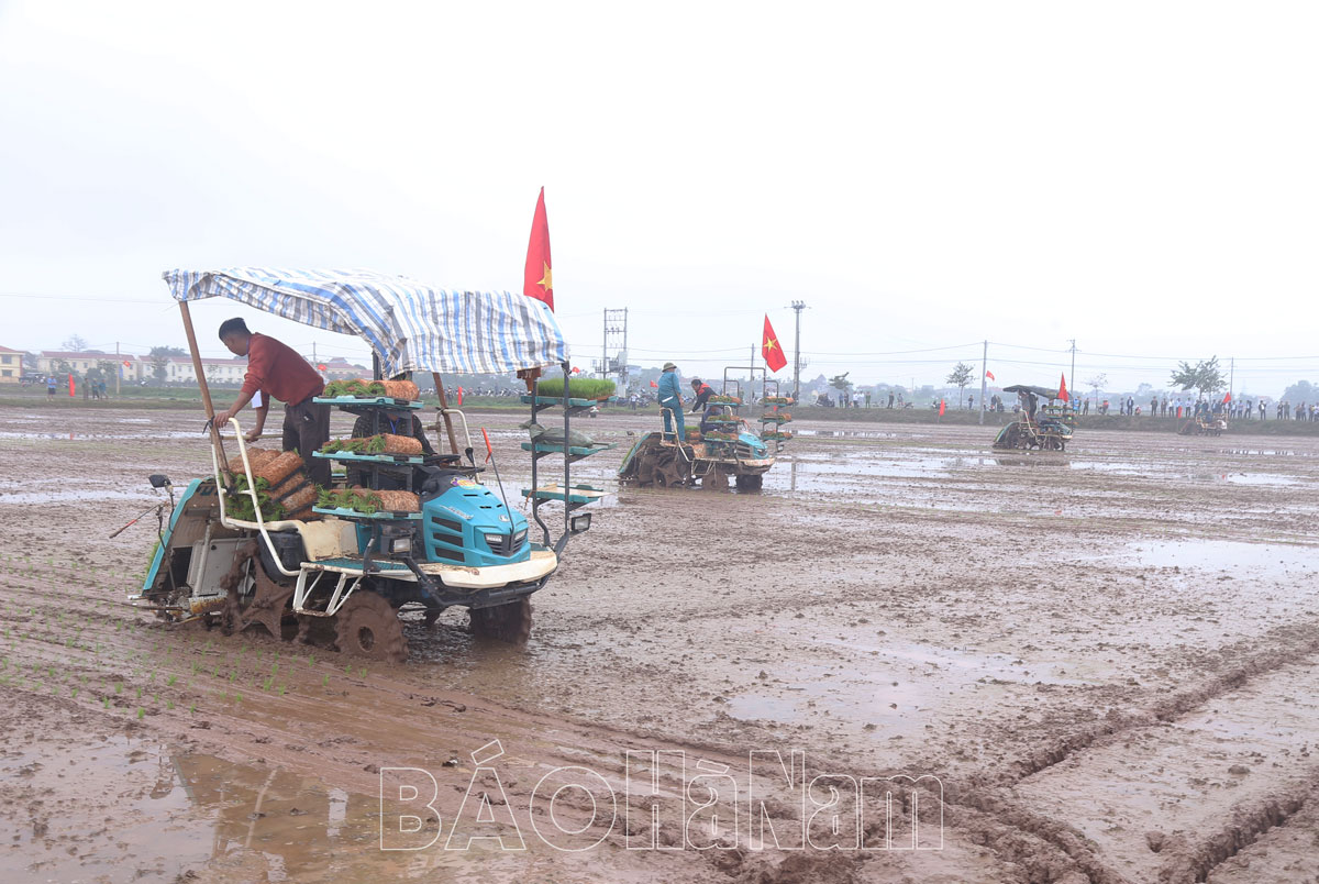 Hội thi “Vận hành máy cấy giỏi tỉnh Hà Nam năm 2024”