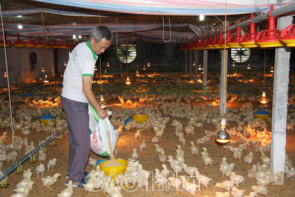 Người cao tuổi Bình Lục tích cực tham gia phát triển kinh tế