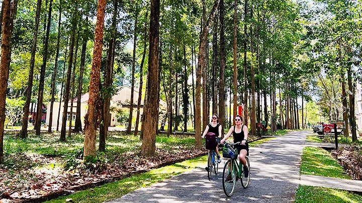 “Khúc nhạc” của rừng