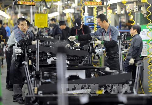 Hàn Quốc: Dự báo thiếu 900.000 việc làm trong 8 năm tới