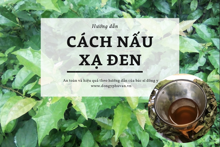 Uống nước xạ đen có tốt cho sức khoẻ?