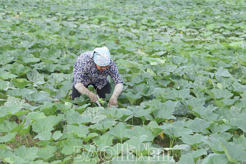 An Ninh chú trọng nâng cao thu nhập cho người dân