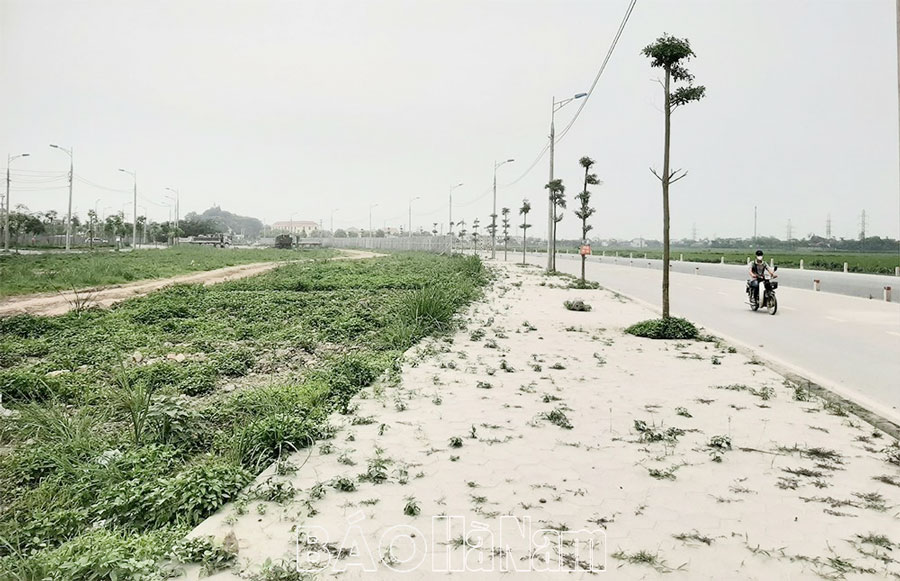 Chi cục Thuế khu vực huyện Thanh Liêm - Bình Lục  phấn đấu hoàn thành chỉ tiêu thu ngân sách nhà nước