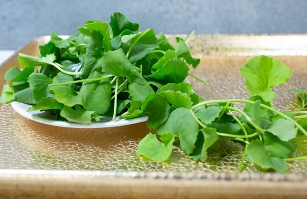 Công dụng tuyệt vời của rau má