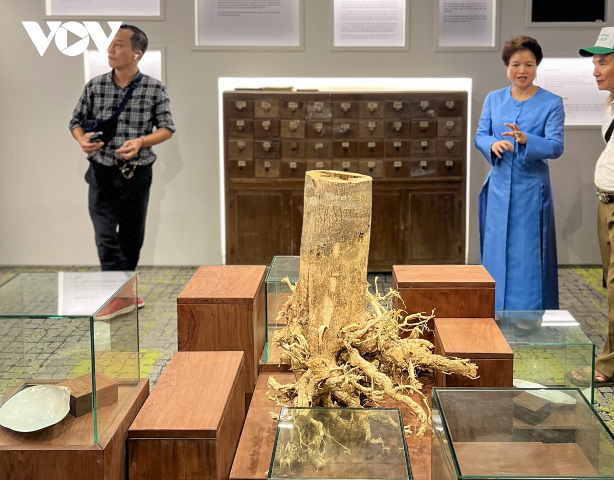 Kết nối phát triển du lịch sức khỏe