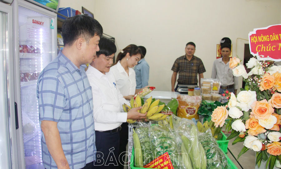 Hội Nông dân Kim Bảng ra mắt cửa hàng giới thiệu, tiêu thụ sản phẩm nông nghiệp an toàn