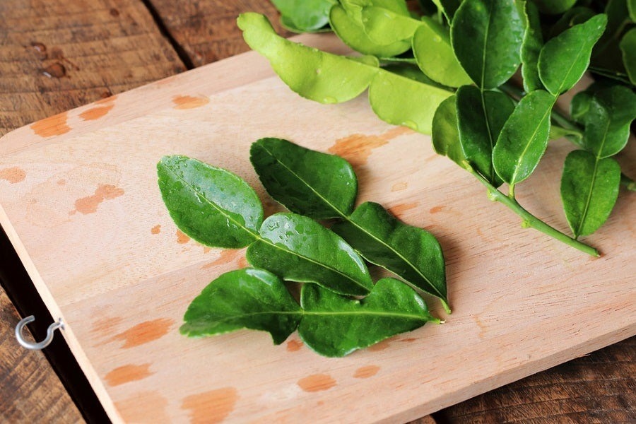 Lá chanh - vị thuốc tự nhiên