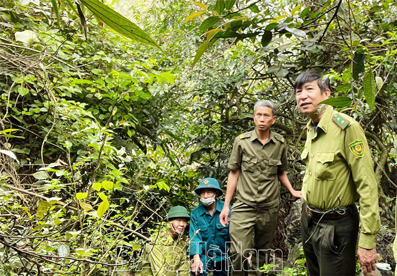 Chủ động phòng, chống cháy rừng