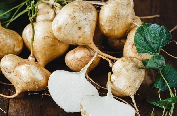 Những lợi ích đáng kinh ngạc của củ đậu