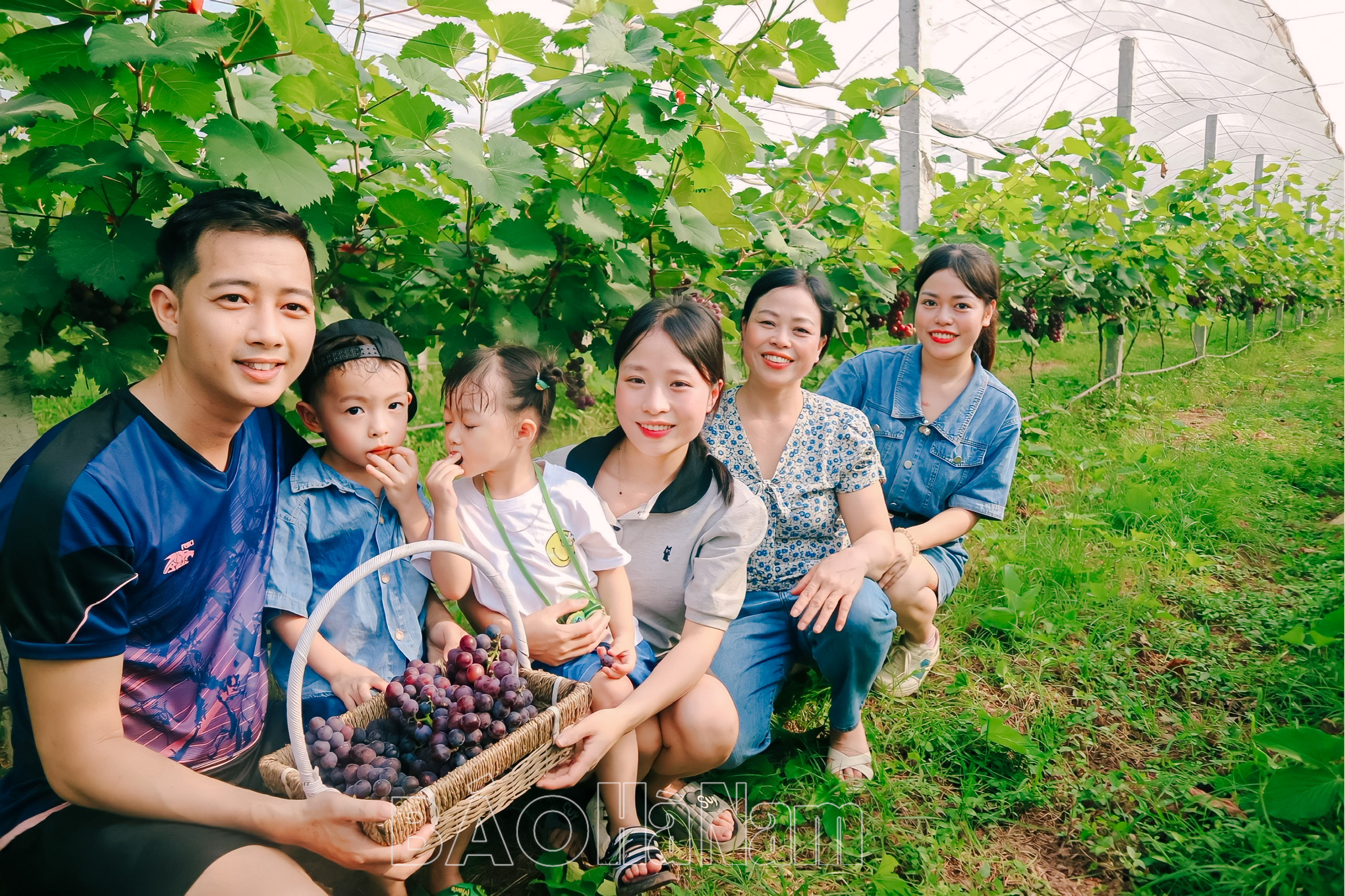 Rủ nhau đi check-in các vườn nho tại Hà Nam